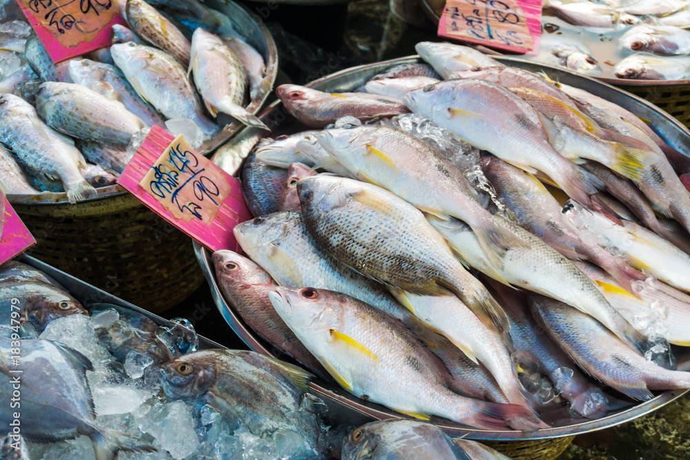 Fresh many sea fish close up in market Fresh many sea fish close up in market