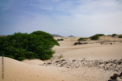 Viana Desert, Boa Vista, Cape Verde. Sand is carried from the Sahara Desert on the ocean wind