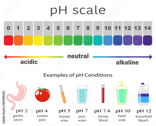 Photo scale of ph value for acid and alkaline solutions, infographic acid-base balance