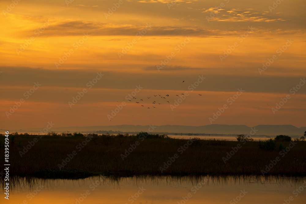 Landscape lake of sunrise and the birds fly on the clouds