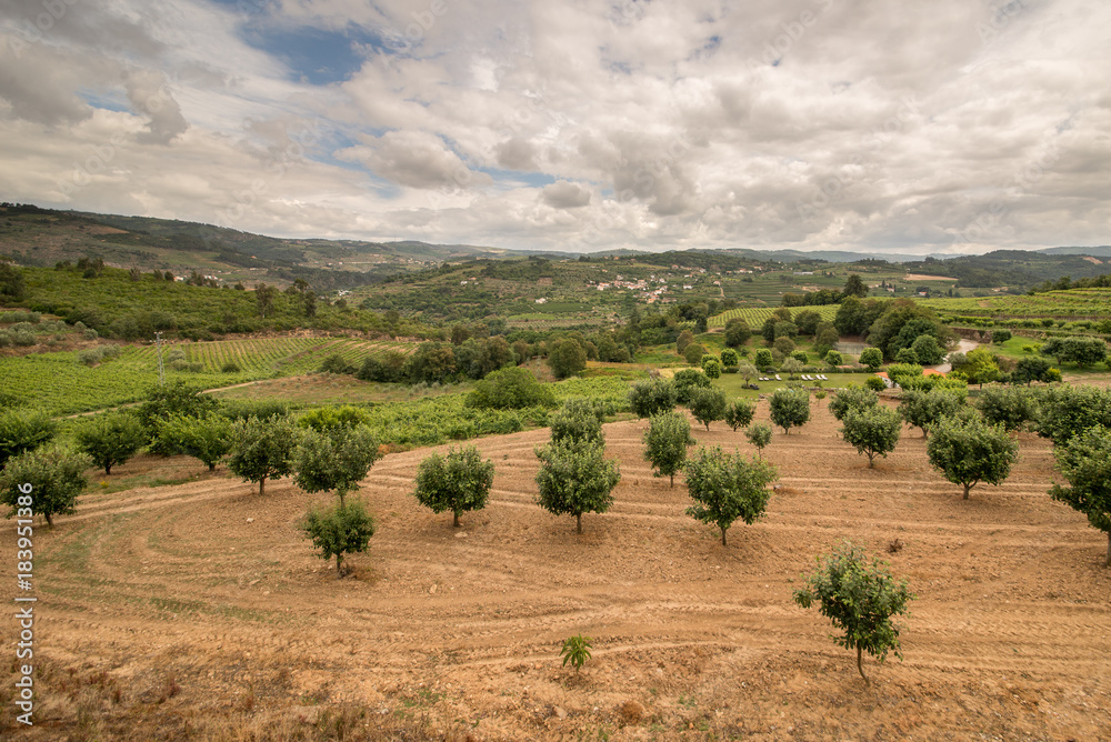 Beautiful scenery of the Portuguese countryside. The valley of the river Duero. Portugal.