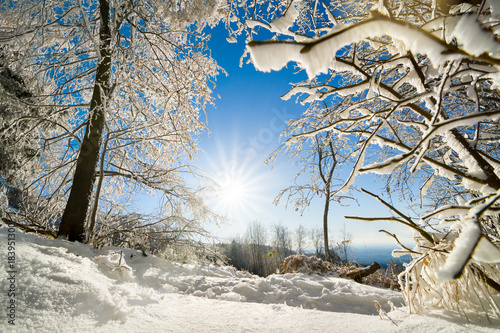 Heitere Winterlandschaft mit Sonne, Schnee auf Bäumen und blauem Himmel