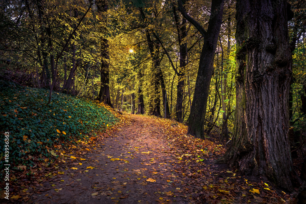 Obraz premium Am Straussee