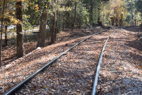 Railroad tracks in autumn.