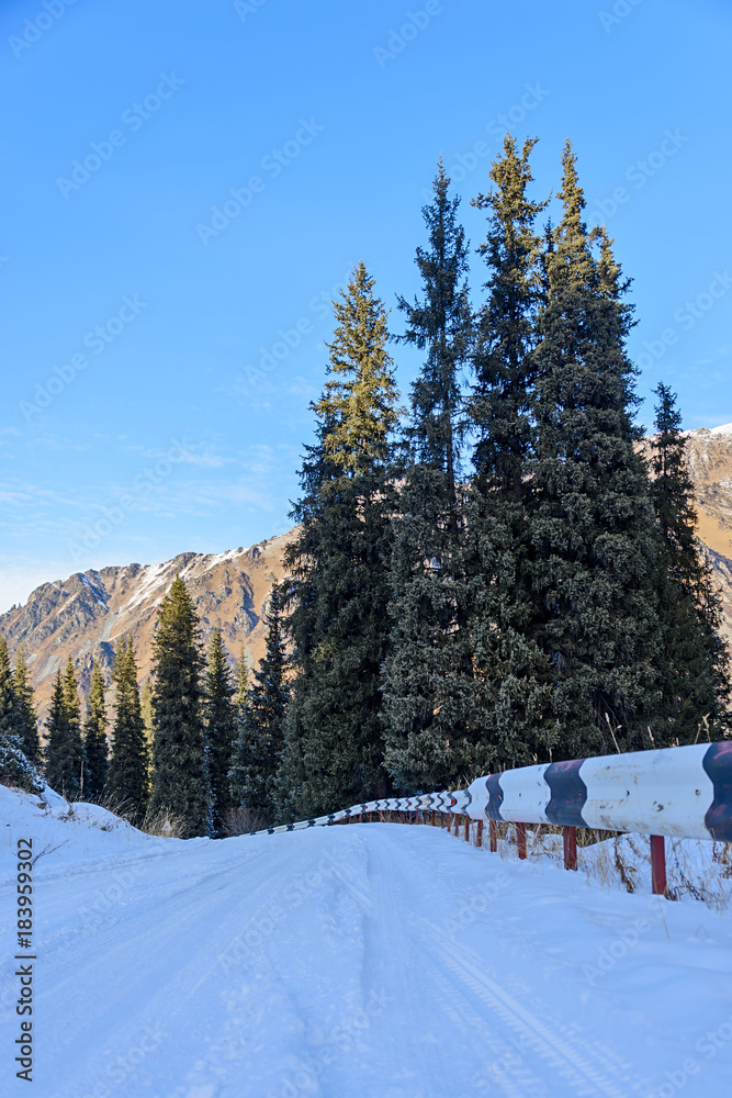 Snowy mountain landscape with trees Snowy mountain landscape with trees