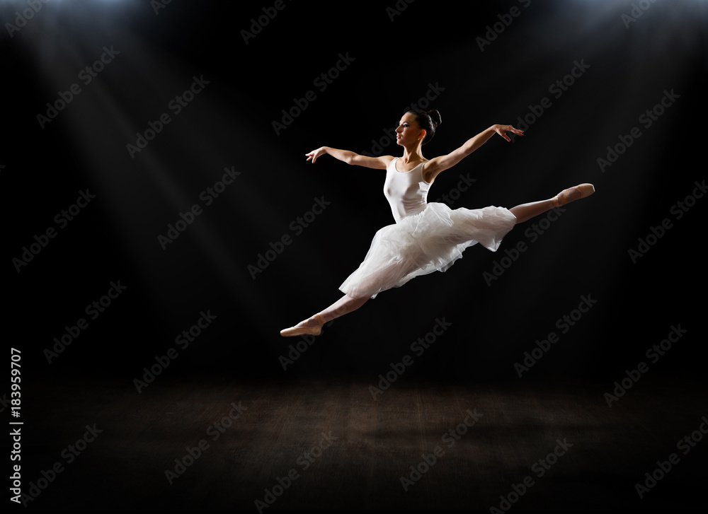 Fototapeta premium Ballerina (on hall version)