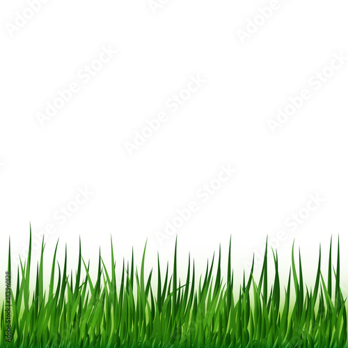 Vector illustration of Grass
