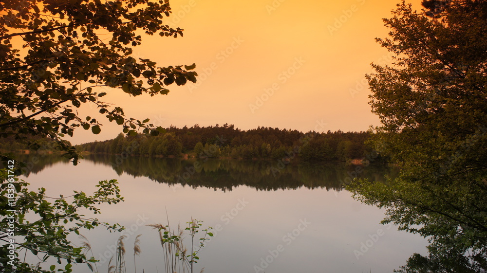 Fototapeta premium SONY DSC