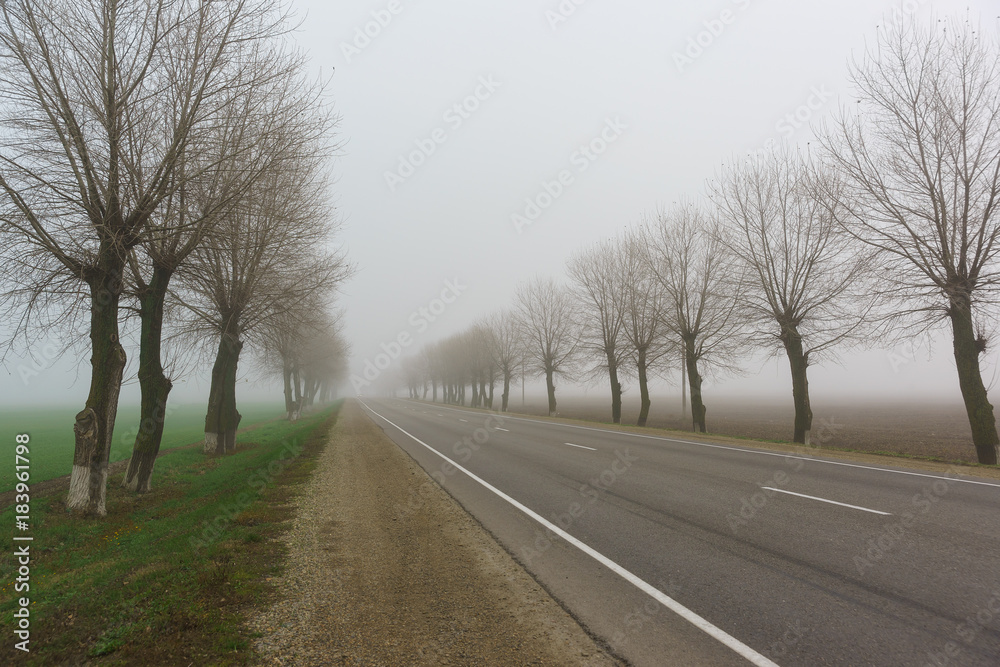 An empty road disappears into thick fog. Late autumn An empty road disappears into thick fog. Late autumn