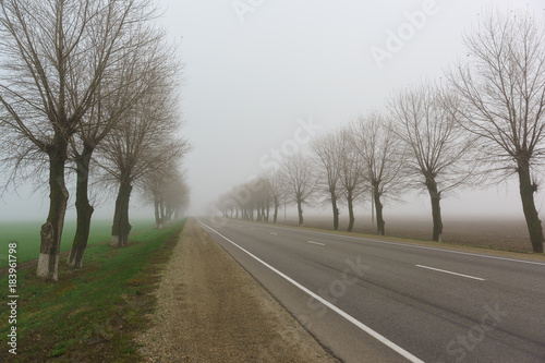 An empty road disappears into thick fog. Late autumn