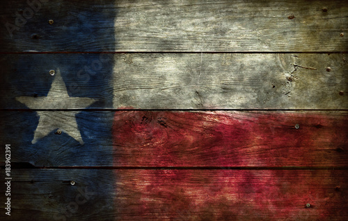 flag of texas photo