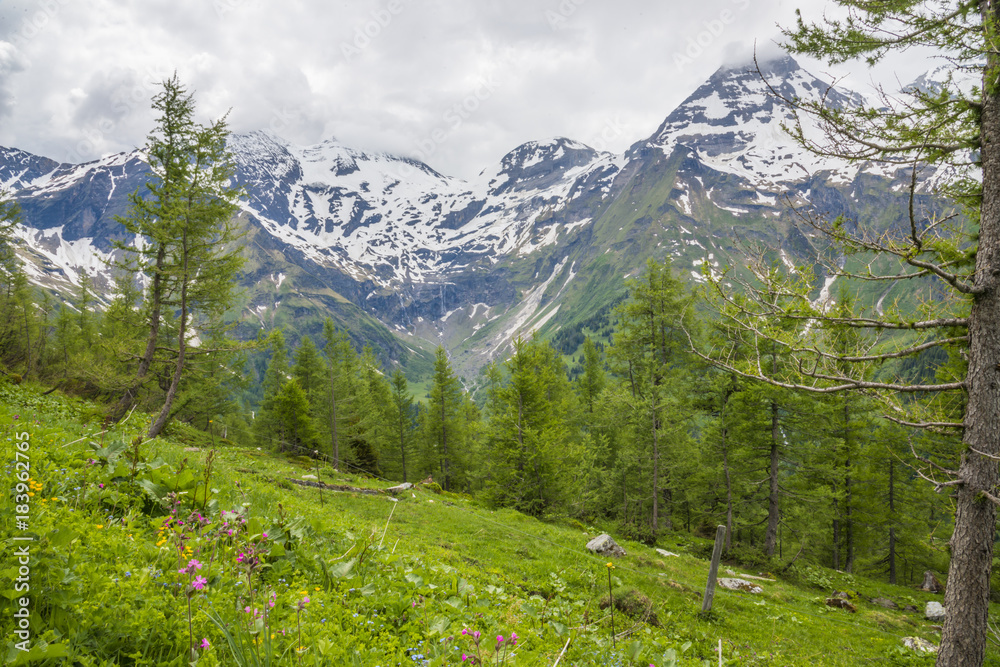 Autriche/paysage avec montagnes enneigées
