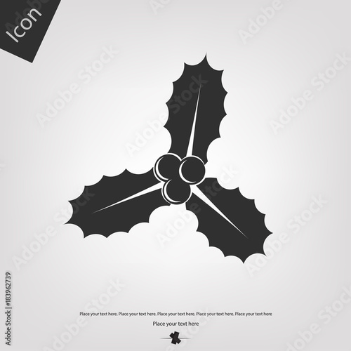 Christmas holly berries vector icon