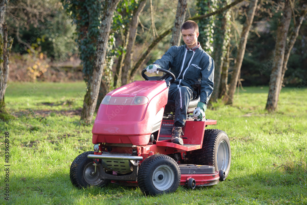Fototapeta premium Young man mowing