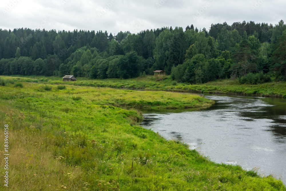 The river and the forest behind it.