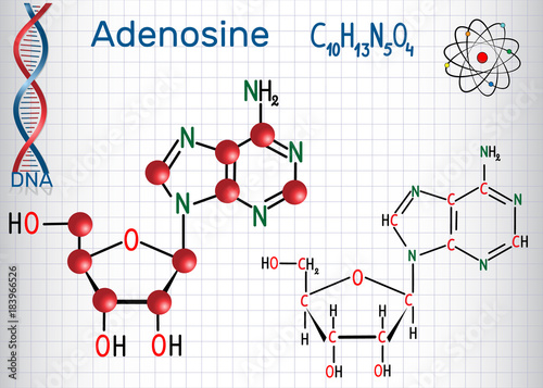 Adenosine - purine nucleoside molecule, is important part of ATP, ADP, cAMP , RNA, DNA. Sheet of paper in a cage