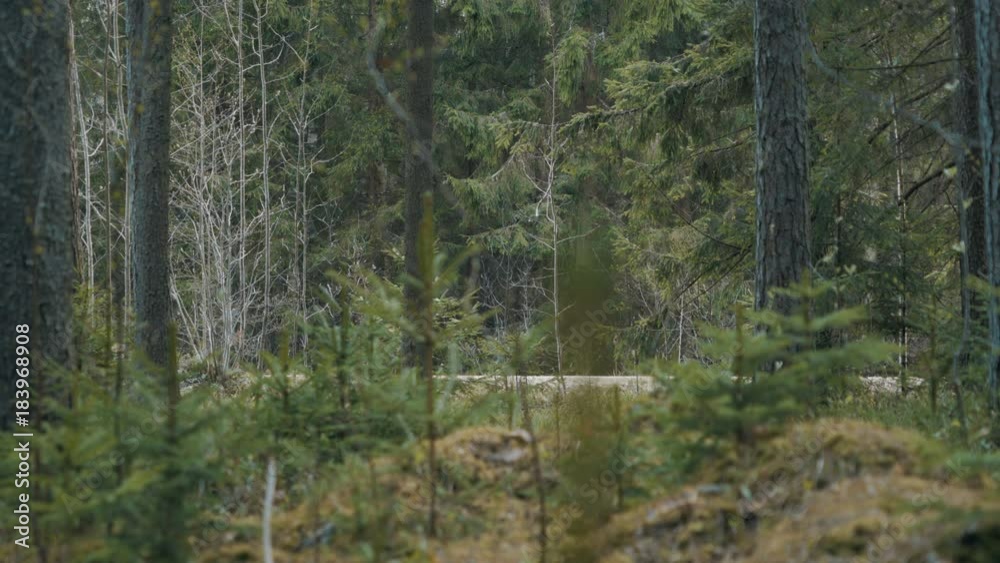 Man escapes from the chasing car on a forest road Man escapes from the chasing car on a forest road