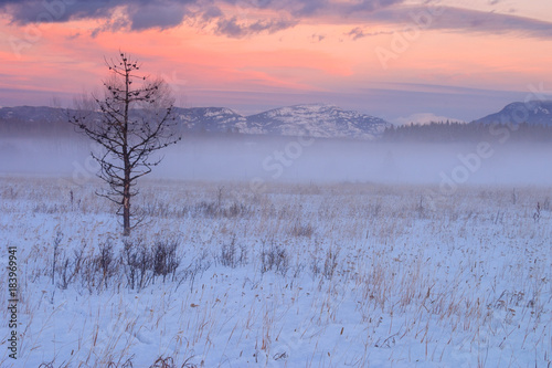 Foggy Sunset In Whitefish Montana