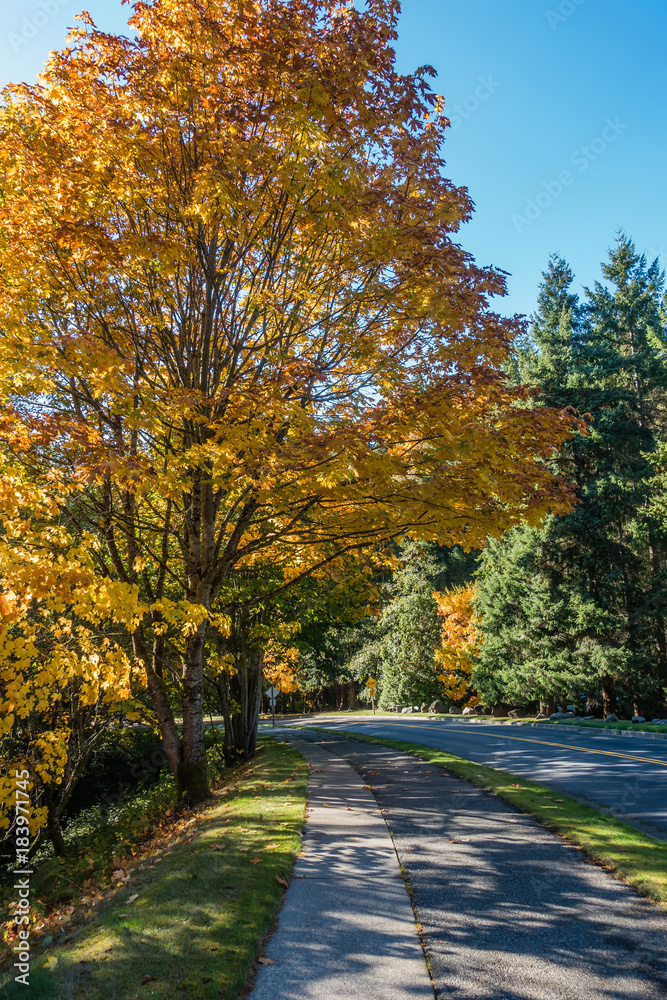 Naklejka premium Seahurst Park Entrance 2