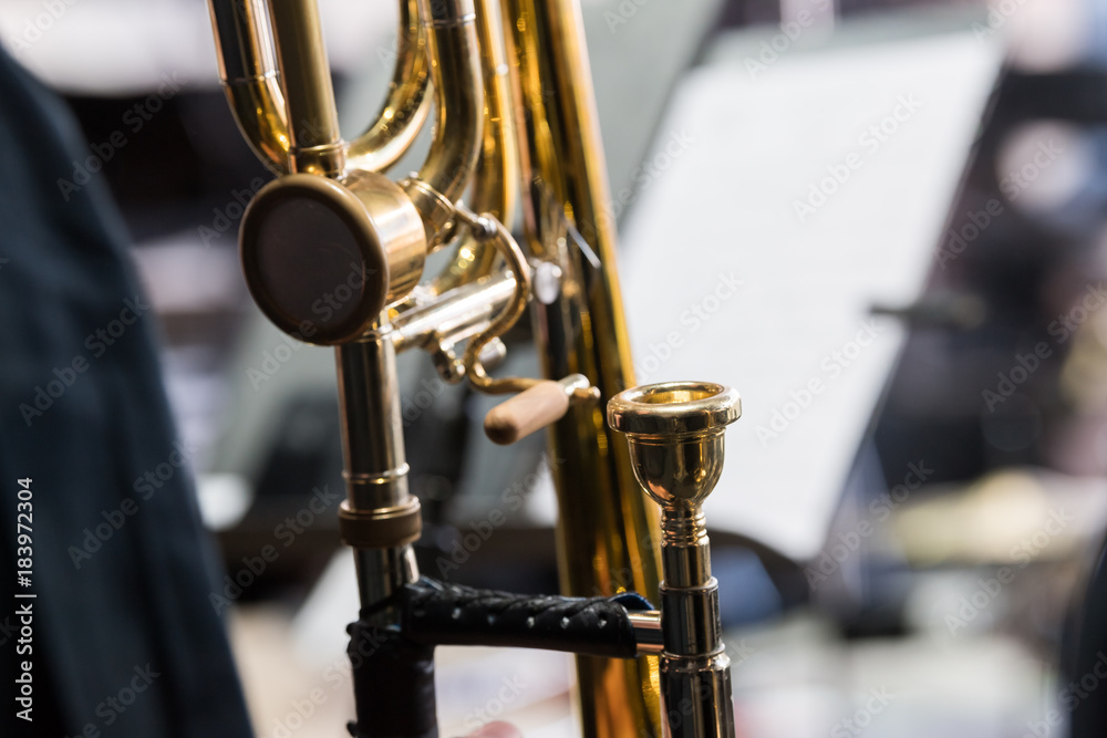 Obraz premium cuivre