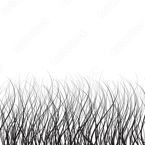 Black grass silhouette on a white