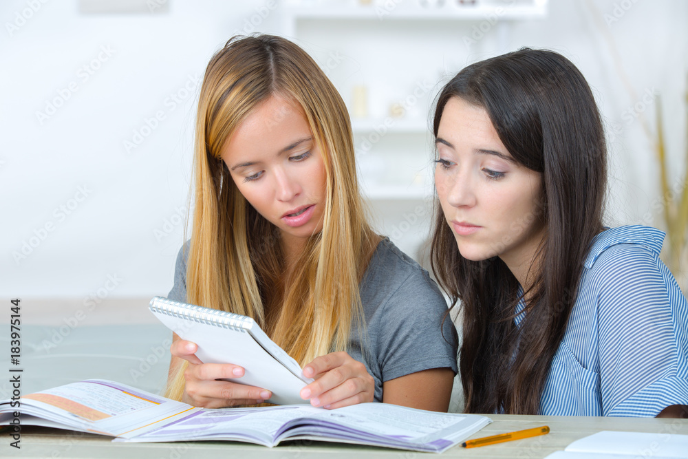 two female students preparing for exams at home two female students preparing for exams at home
