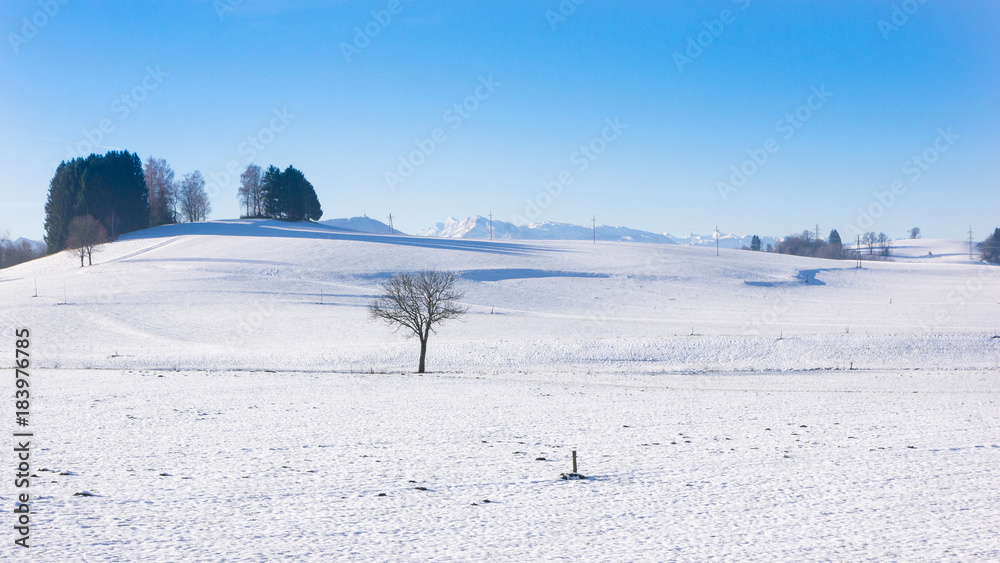 Salzburger Land in winter
