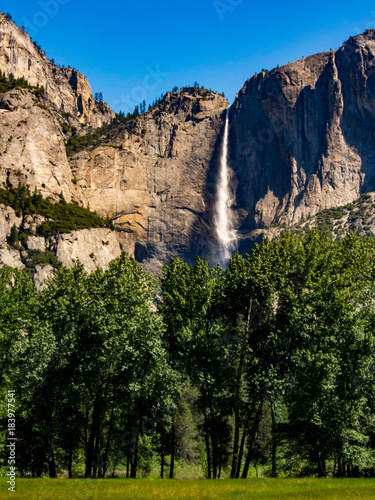 Yosemite Falls, Waterfall, Forest, Trees, National Park