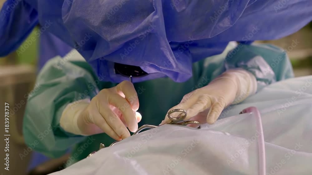 The endoscopist deals with the diagnosis, the patient's internal organs using an endoscope camera The endoscopist deals with the diagnosis, the patient's internal organs using an endoscope camera
