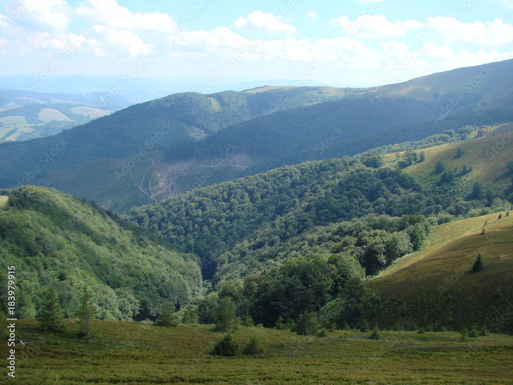 Landscape of the mountain forests of the Ukrainian Carpathians.