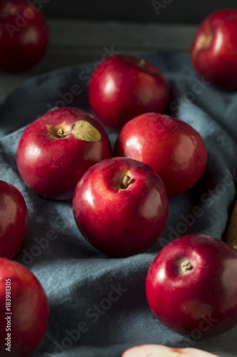Slika na platnu Red Organic Macintosh Apples