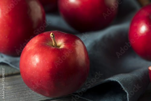 Red Organic Macintosh Apples