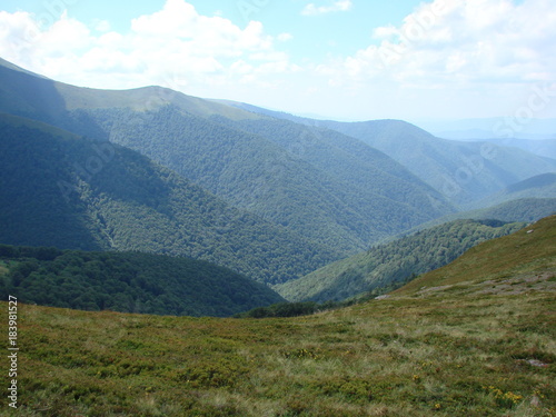 Landscape of the mountain forests of the Ukrainian Carpathians.