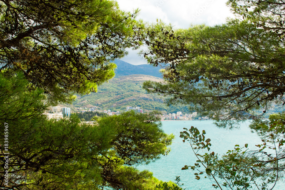 View of the sea from the mountain, where pine trees grow. Montenegro. The Budva Riviera. Becici