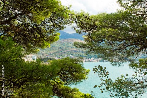 View of the sea from the mountain  where pine trees grow. Montenegro. The Budva Riviera. Becici