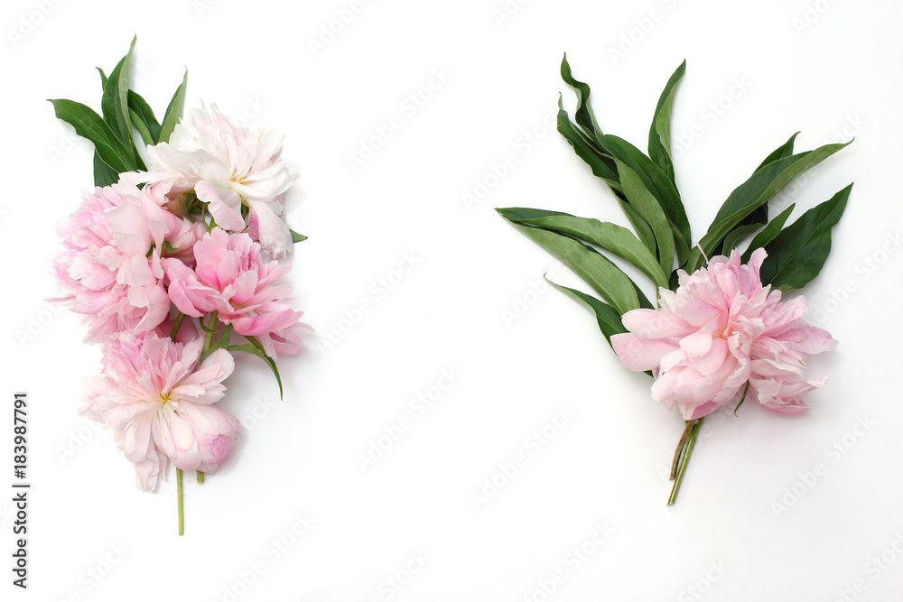 Beautiful composition in the form of a frame of pink peonies and leafage. Top view, flat lay