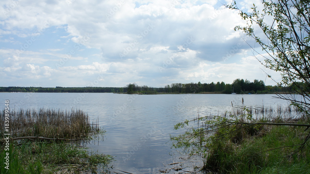 Fototapeta premium Clean lake in green spring summer forest