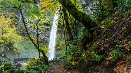 Elowah Falls