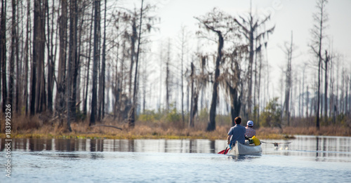 Canoeing in the Okefenokee Swamp