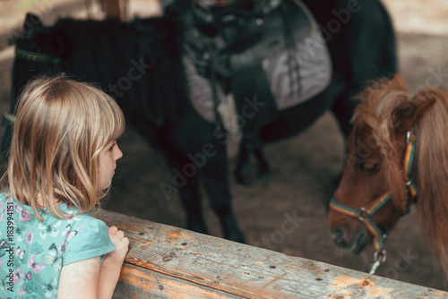 Cute little girl looking at a pony