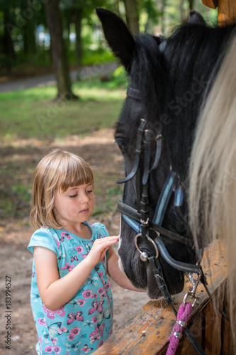 Cute little girl stroking  head of a black horse