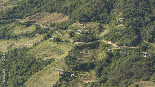 Village and rice field. Kingdom of Bhutan