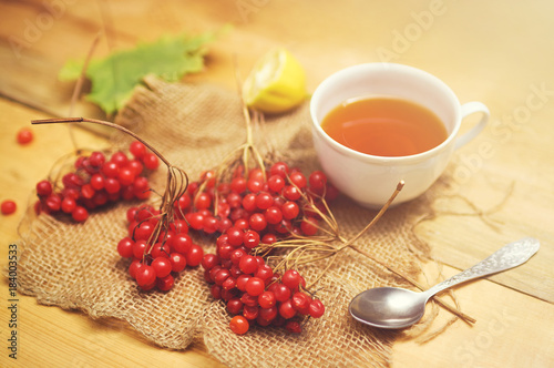 Tea with viburnum. Tea for colds. Ethnoscience.