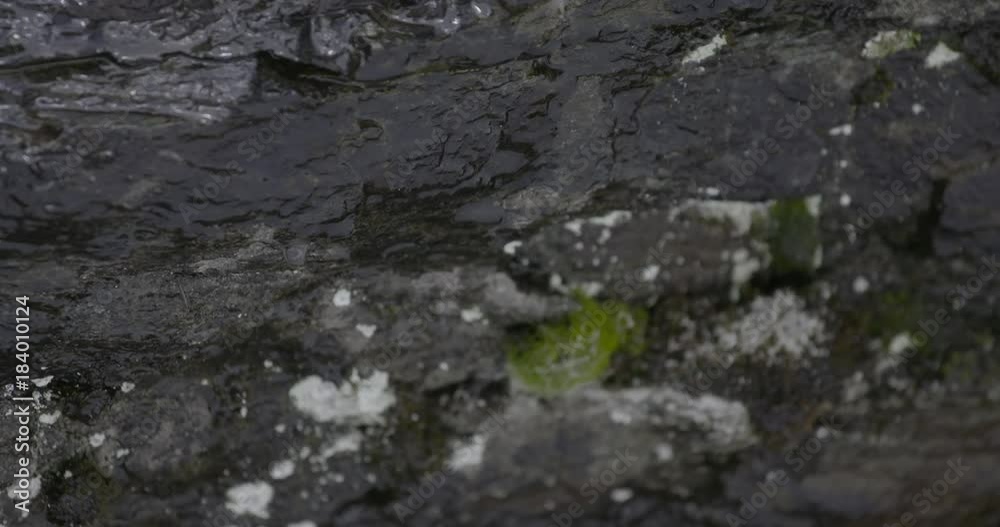 Close up, water drips on rocks