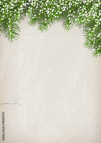 Fir Tree on Plaster Wall Background