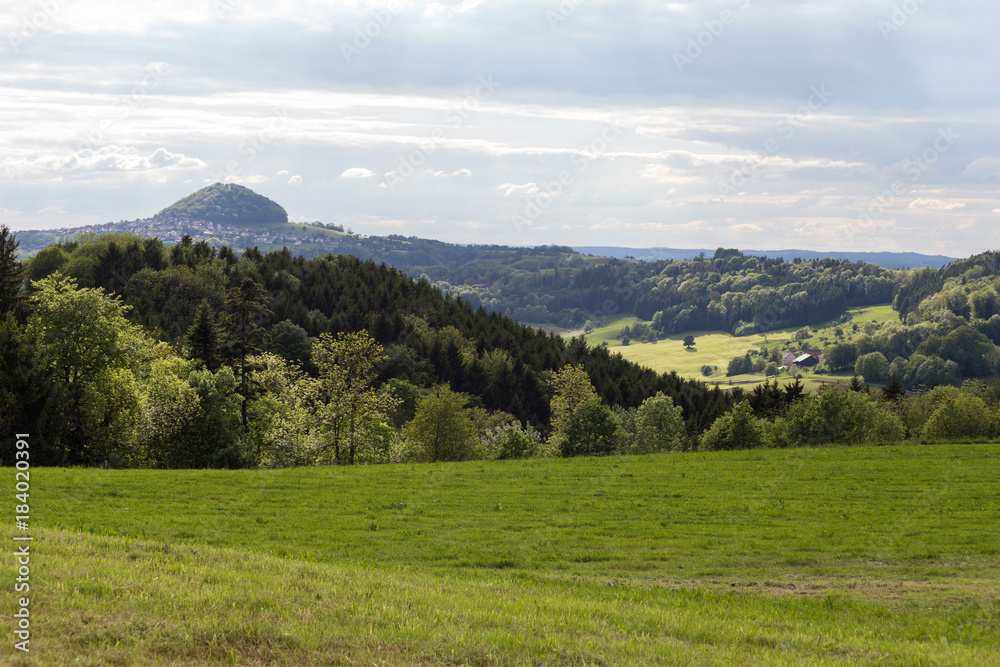green landscape at springtime at south germany countryside