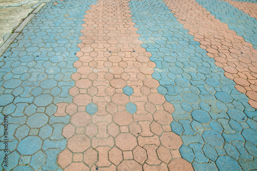 Cement floorin garden photo