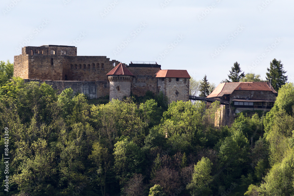 old knight's castle at south germany rural countryside in spring may