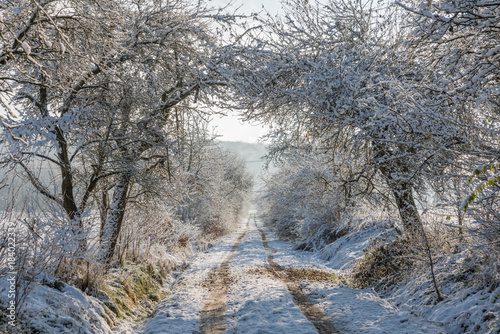 verschneite Winterlandschaft