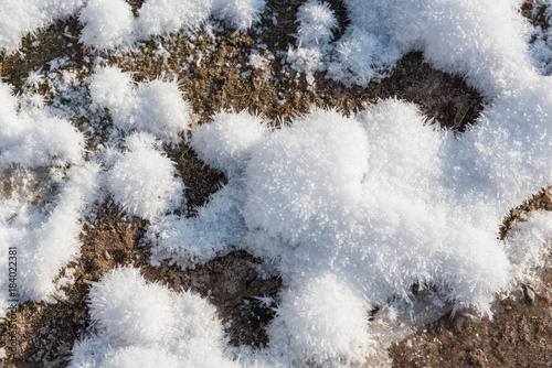 Waldboden mit Eiskristallen